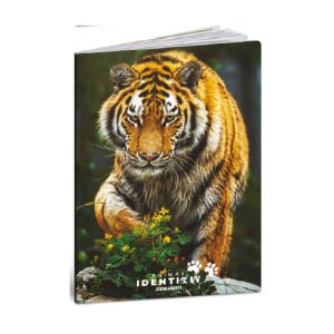 Zvezek A4 Animal Identity